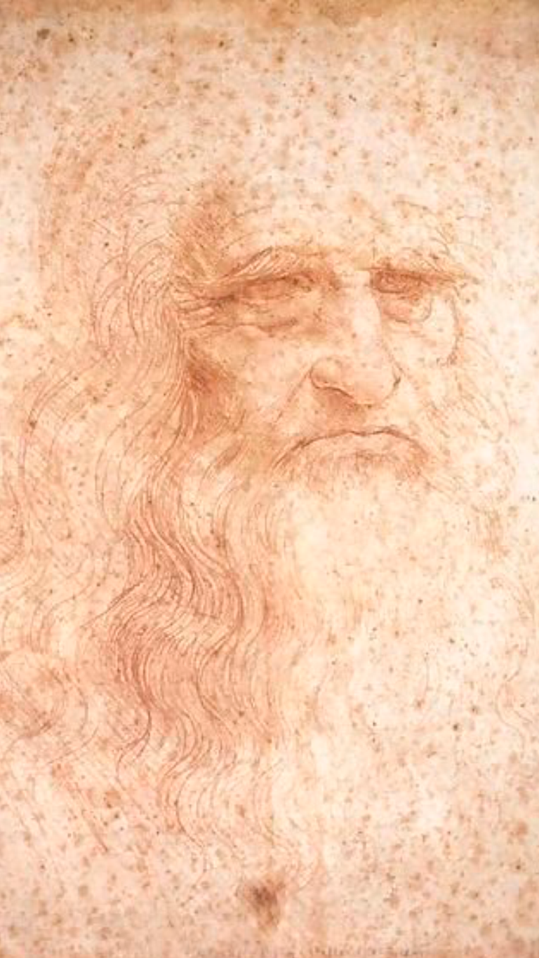 DaVinci Self Potrait