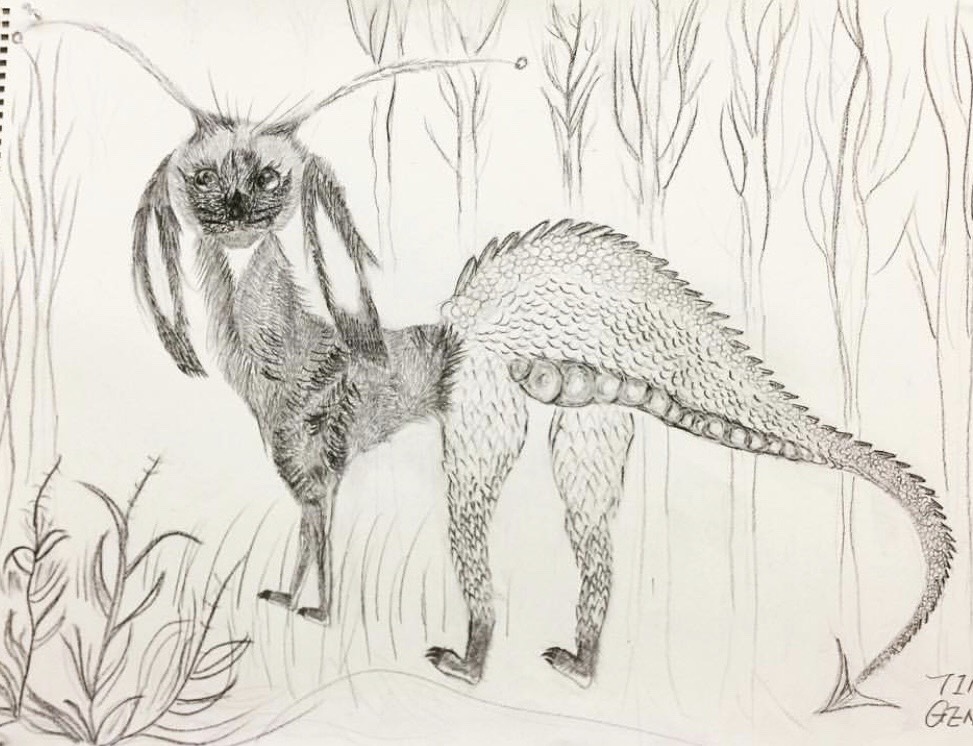 Drawing